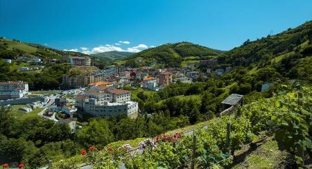 Imagen The 10 best things to see and do in Cangas del Narcea