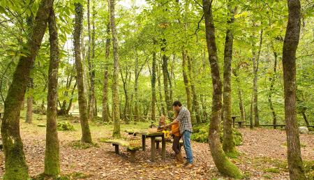 Imagen Senderismo en familia: 6 rutas con áreas recreativas en Asturias