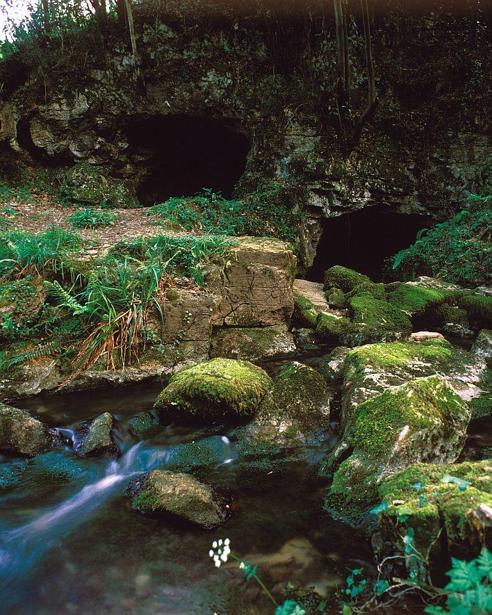 Ir a Imagen Reserva Natural Parcial de la Cueva del Lloviu
