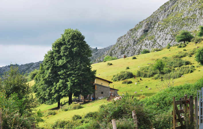 Albergue Fayacava