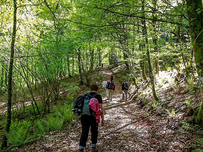Mual (Cangas del Narcea) ©Comarca Fuentes del Narcea