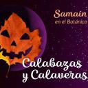Encuentros inquietantes. Fiesta familiar de Samaín en Gijón