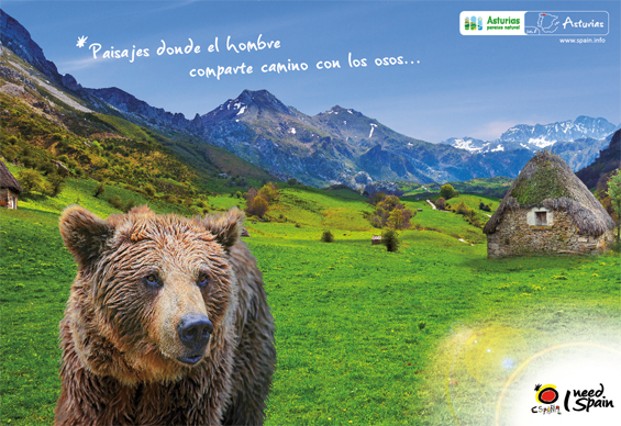Campaña Internacional - Naturaleza