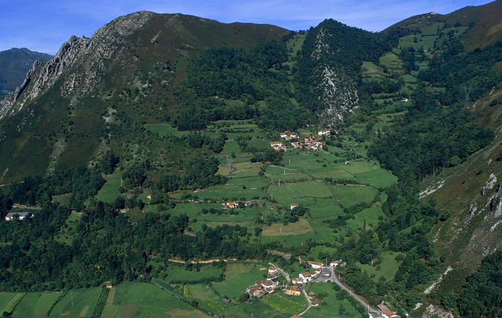 La Tartulla