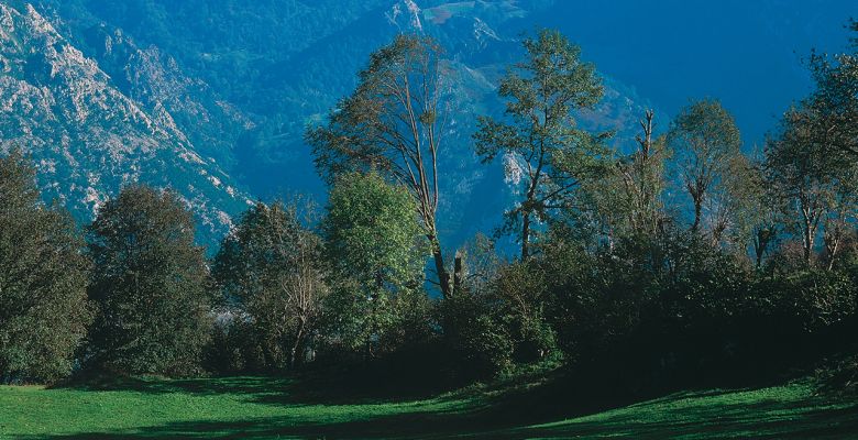 Los Pastores de Picos de Europa han sido Pueblo Ejemplar de Asturias