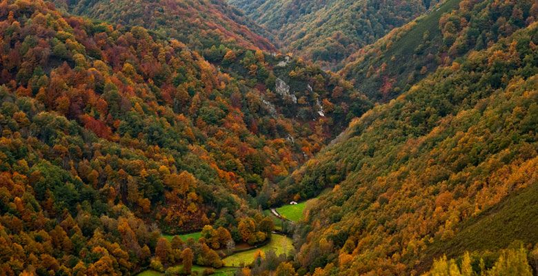 Reserva de la Biosfera Fuentes del Narcea