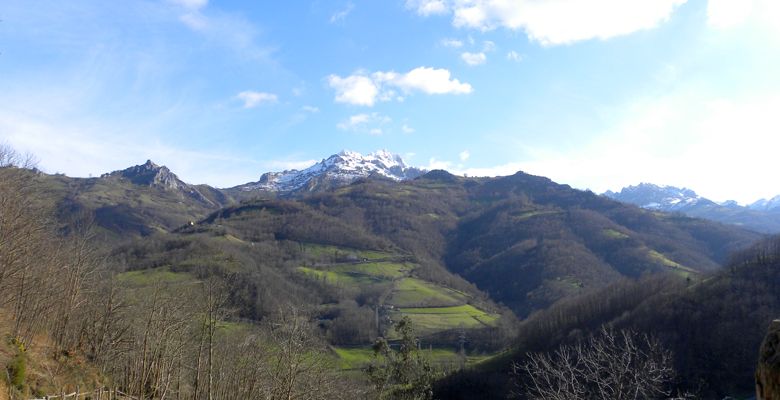 Vista de Peña Mea desde Entrialgo