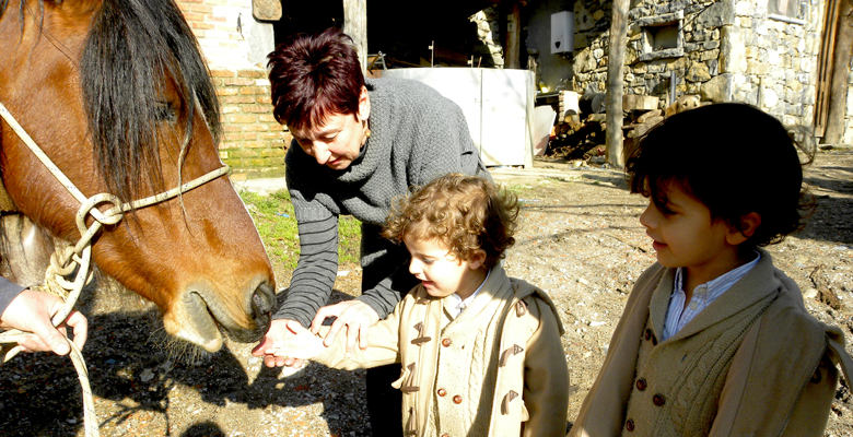 Alimentando a los caballos