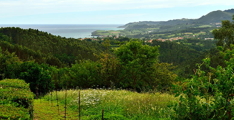 Vista panorámica desde el pueblo de Carrandi