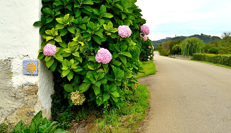 Tramo del Camino de Santiago entre la Villa de Colung y el pueblo de Sales