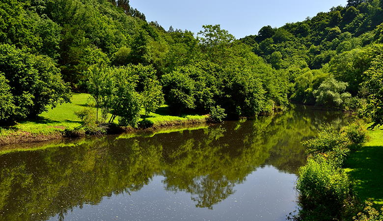 Río Nora en las inmediaciones de San Pedro de Nora