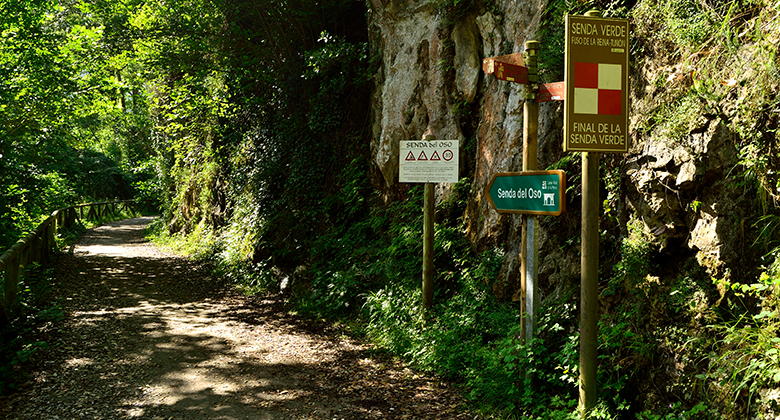 Senda del Oso en Santo Adriano