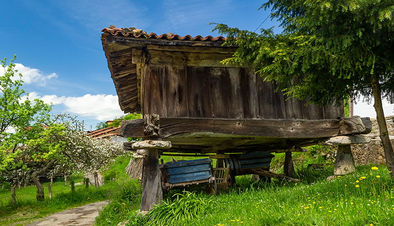 Hórreo con tejo en Robledo de Anayo (Piloña)