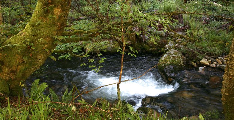 Río Muniellos