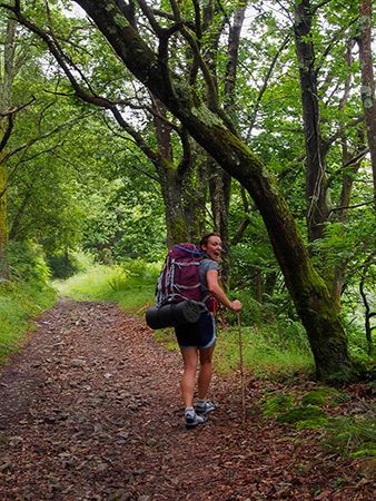 Camino Primitivo de Santiago a su paso por Salas