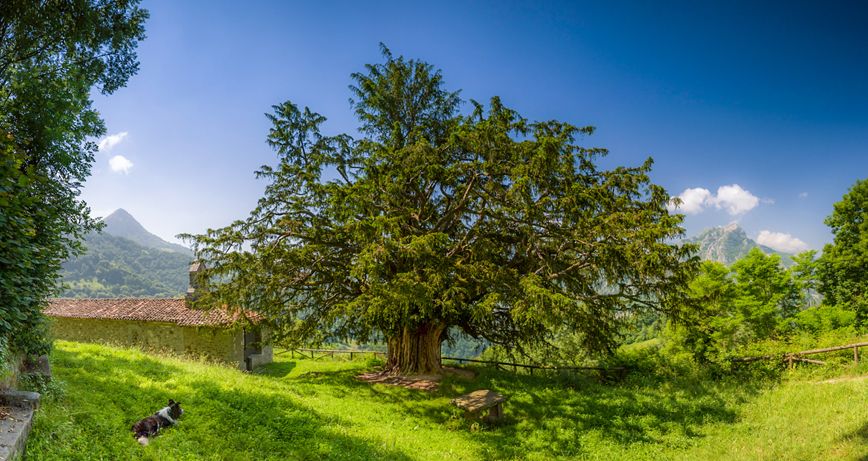 10 pueblos de cuento en Asturias - Parte II