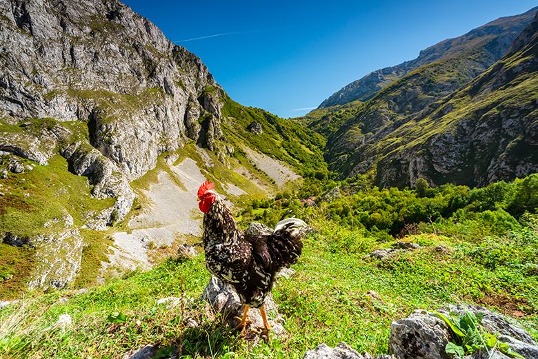 Bulnes (Cabrales) ©Mampiris