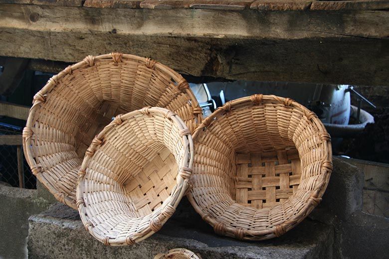 Cestas de Folqueiras de Boiro (Ibias)