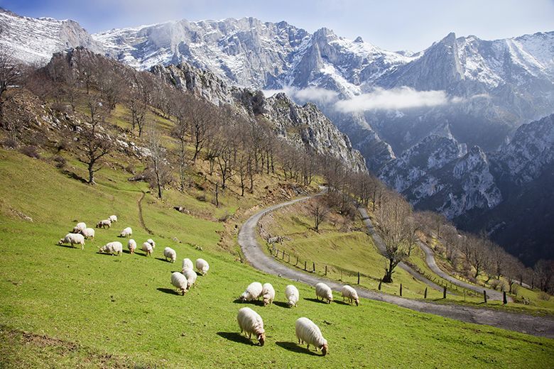 Casielles (Ponga) ©Camilo Alonso