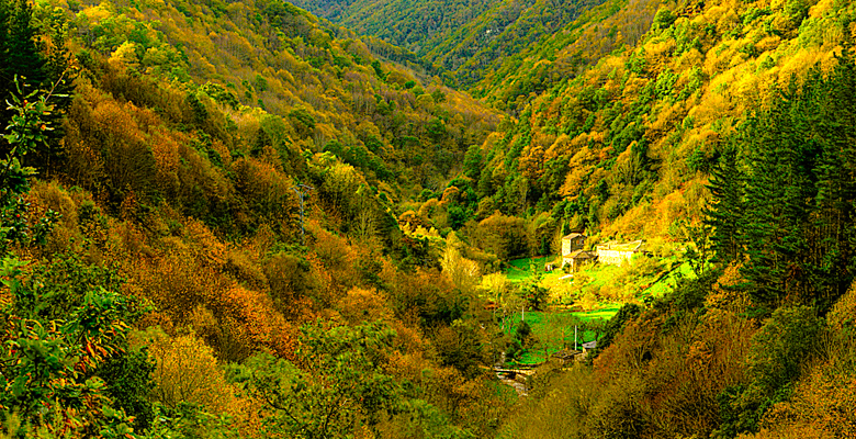 Bosque y pueblo de As Veigas en Taramundi