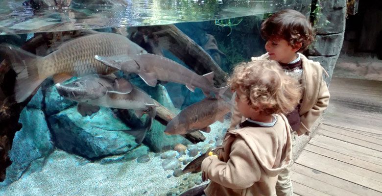 Acuario de Gijón