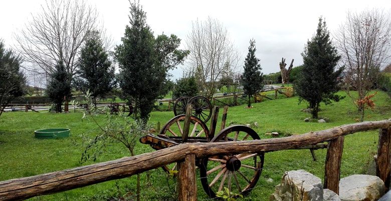 El Parque de la Vida - Valdés