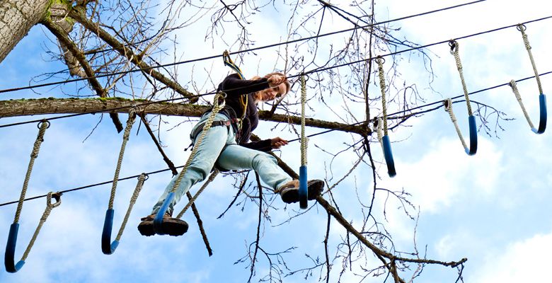 Puente tibetano en un bosque acrobático