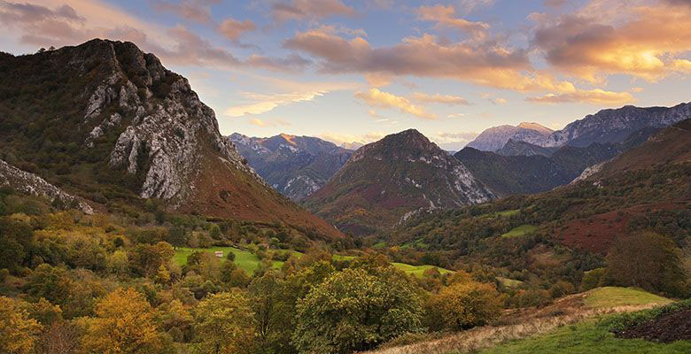 Parque Natural de Ponga