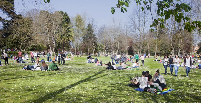 Animación en la Fiesta del Bollo en Avilés