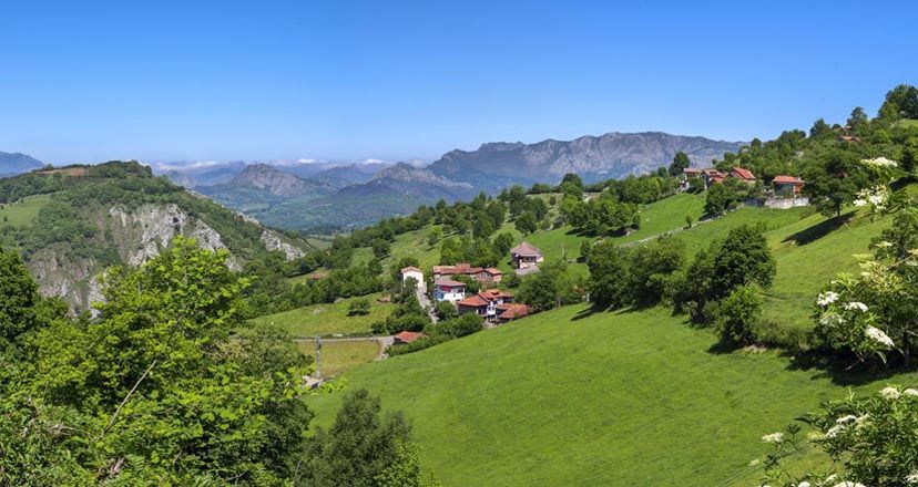 La ruta del Gamonéu, el queso que desata pasiones