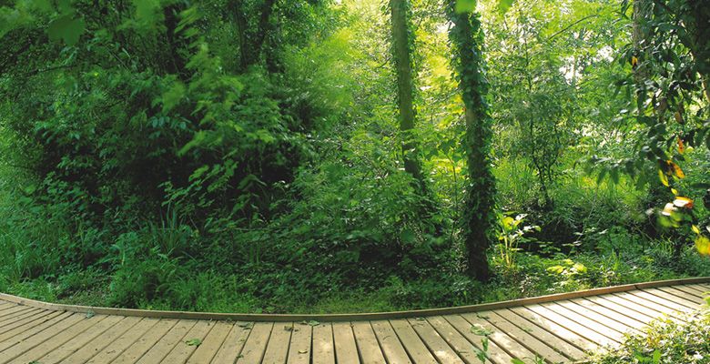 Jardín Botánico Atlántico en Gijón