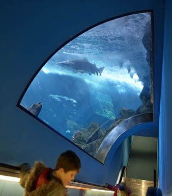 Acuario de Gijón