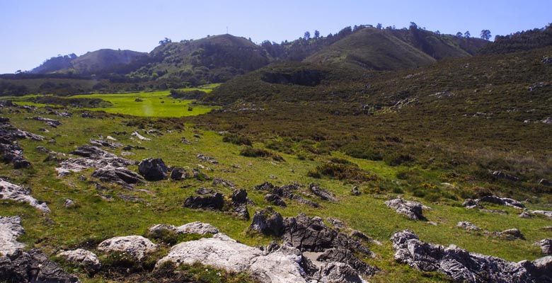 Praderas de pasto en la zona de Tronía