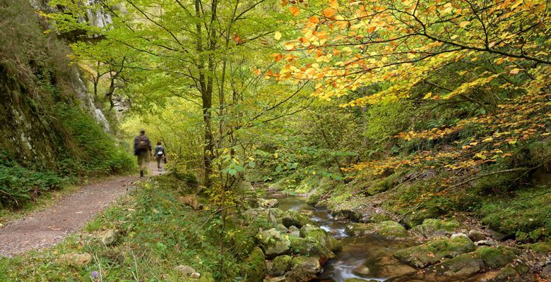 Ruta del Alba en Sobrescobio