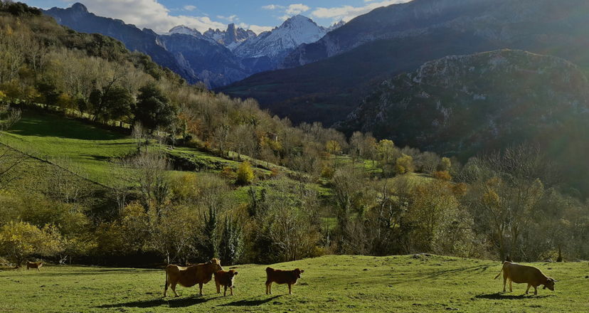 Asturias, un paraíso para deleitarte todo el año