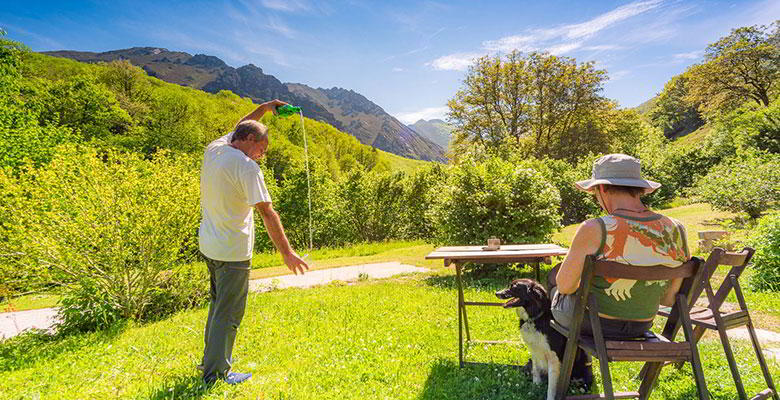 8 planes para disfrutar con tu mascota en Asturias