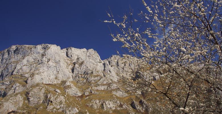 Estampa primaveral en el Valle de Angón