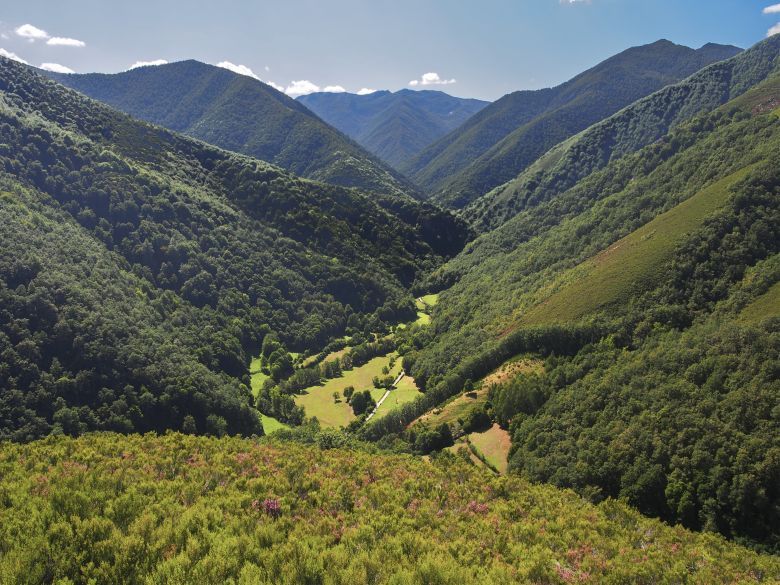 Vista panorámica de Muniellos