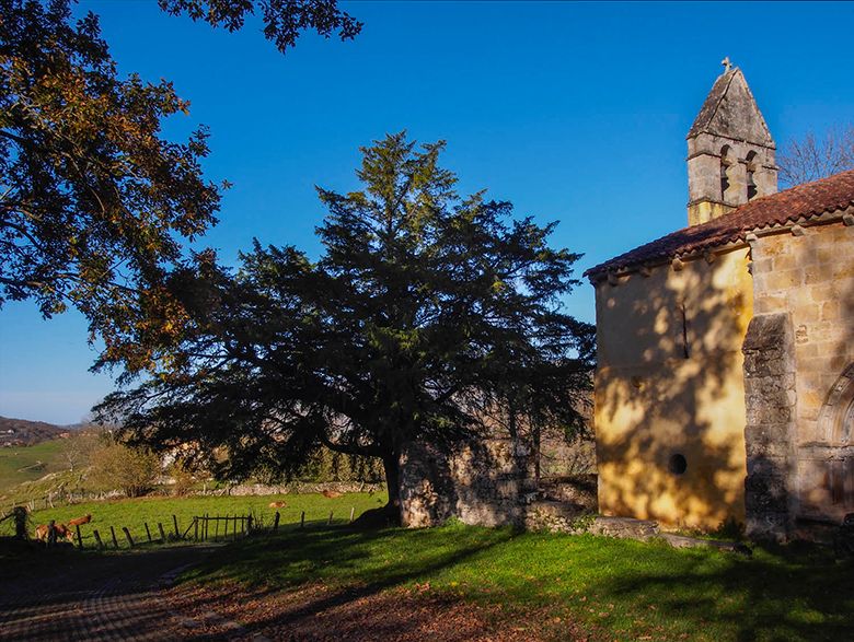 Santa Eulalia de Abamia (Cangas de Onís) ©Juanjo Arrojo