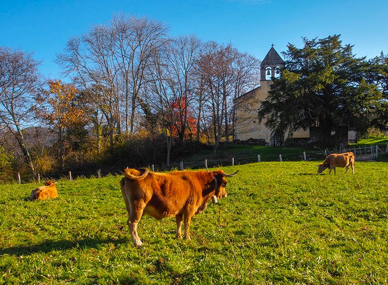 Santa Eulalia de Abamia (Cangas de Onís) ©Juanjo Arrojo