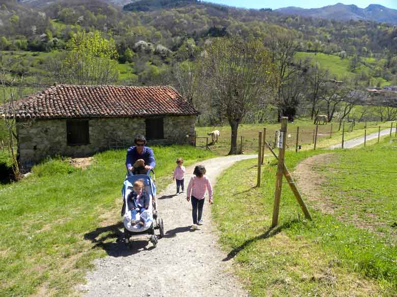 Acceso al cercado de los animales del Parque