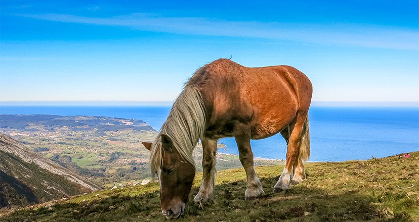 Lugares con una belleza de vértigo en Asturias