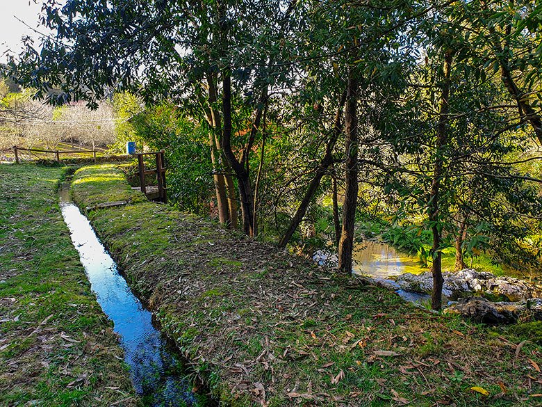 Canal del Molino El Picu ©viajerosconfesos