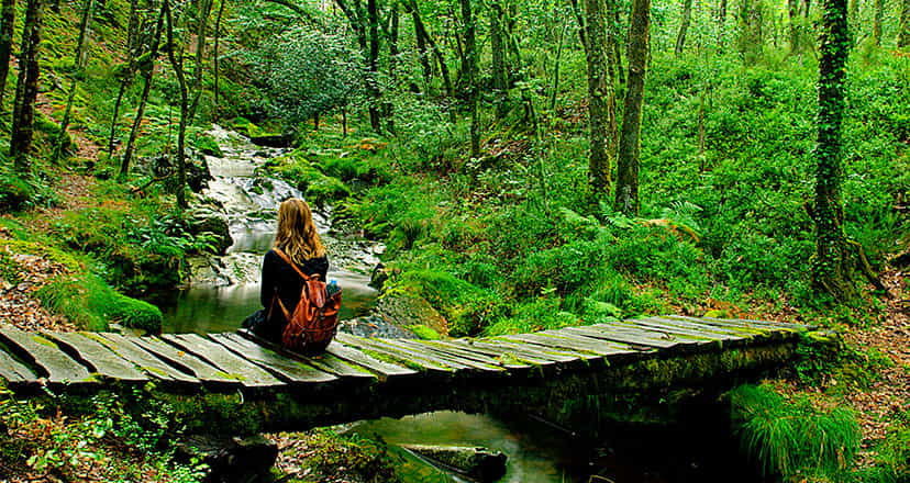 Top 10 des choses à voir et à faire dans la région Oscos-Eo