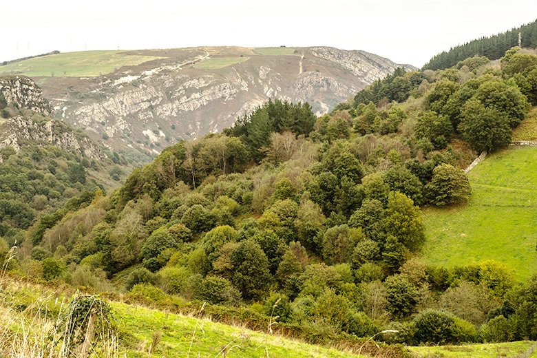 La Senda de La Regueirina ©asturiasprestosa.com