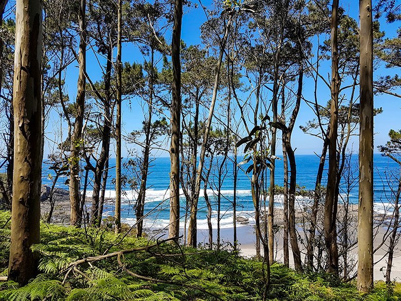 Playa de Frexulfe