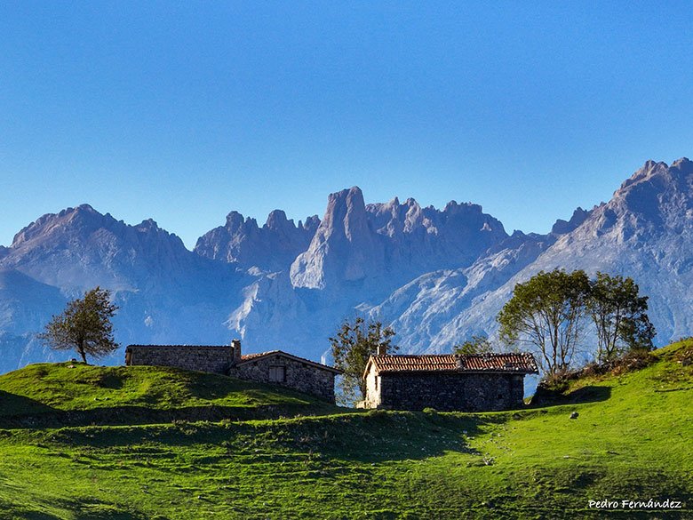 Picos de Europa desde Tebrandi (Cabrales) ©Pedro Fernández Rodríguez