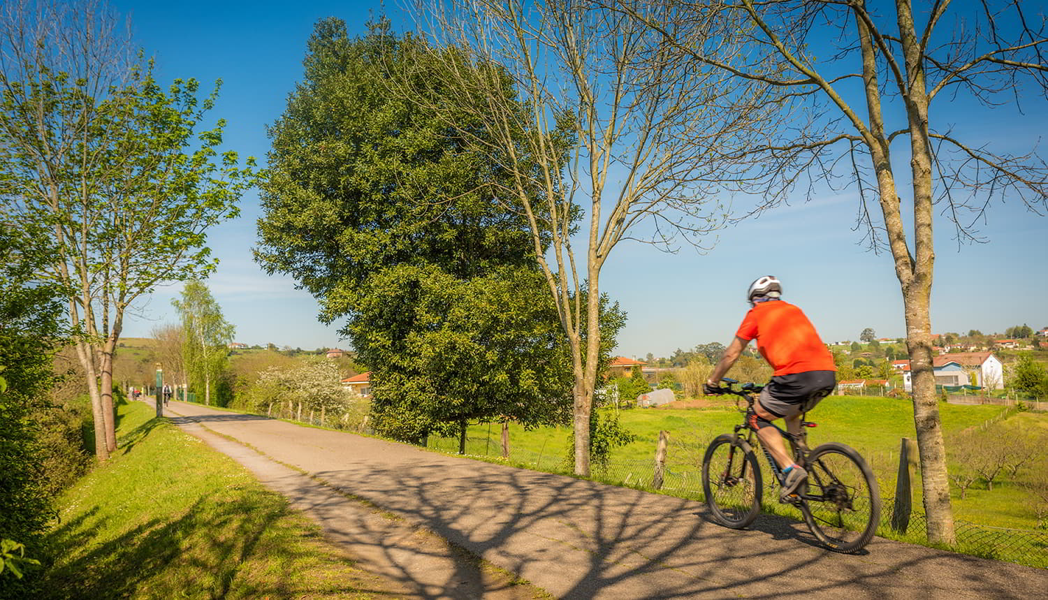 Discover the best Greenways and Paths in Gijón