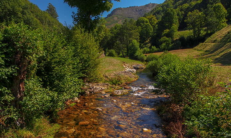 Pozo el Pinche. Mual (Cangas del Narcea)