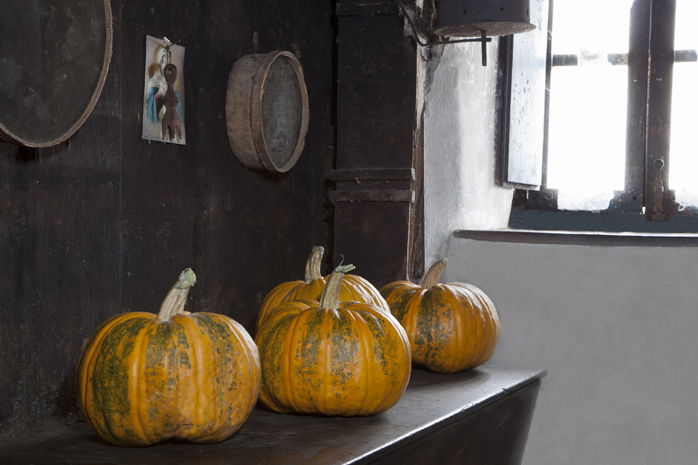 Calabazas típicas en los días de la fiesta de Halloween